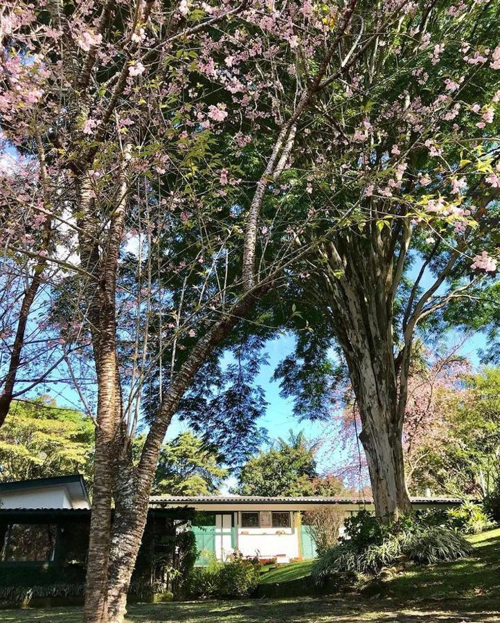 Hotel Pinheiros Do Rocio Petrópolis Exterior foto