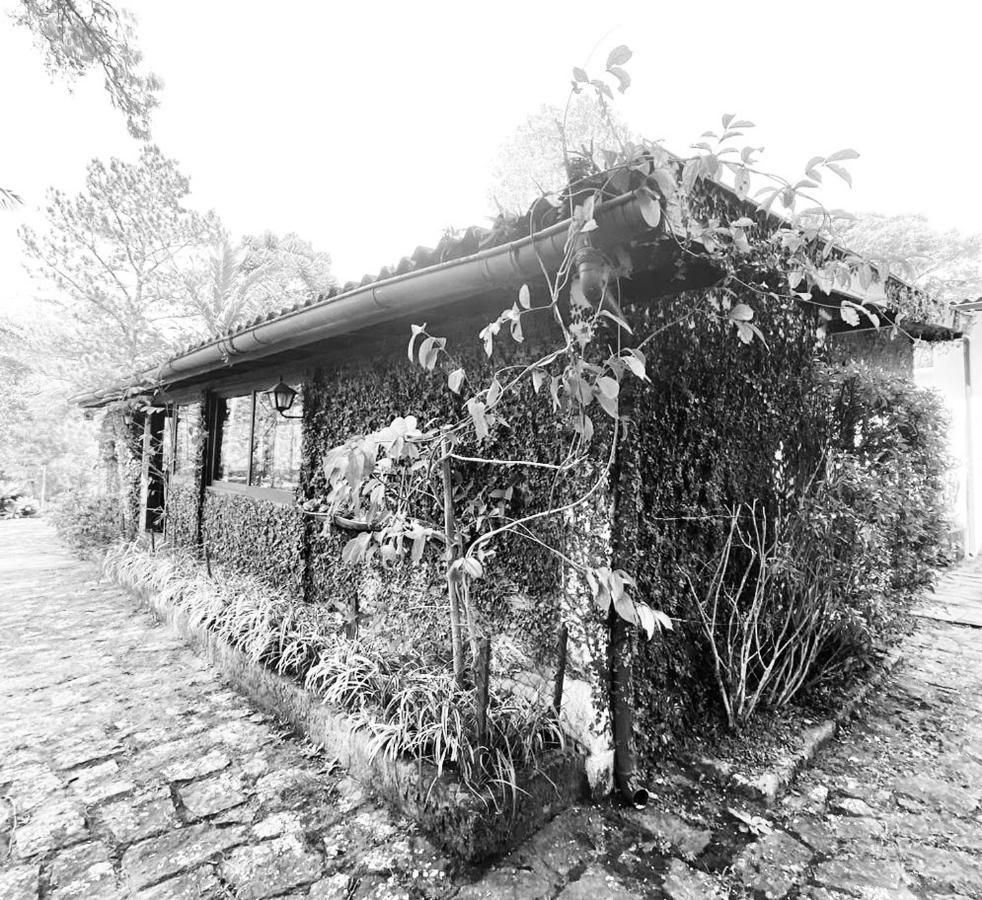 Hotel Pinheiros Do Rocio Petrópolis Exterior foto